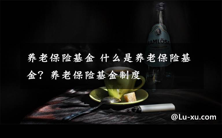 养老保险基金 什么是养老保险基金？养老保险基金制度文章配图