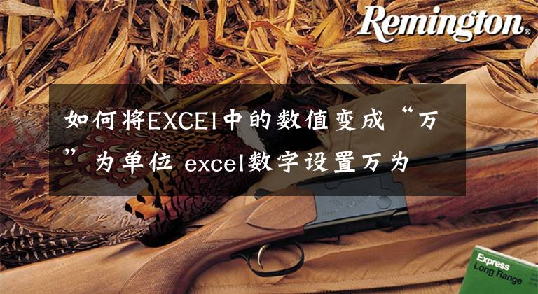 如何将EXCEl中的数值变成“万”为单位 excel数字设置万为单位