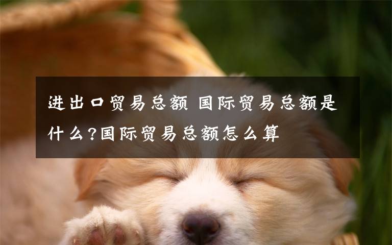 进出口贸易总额 国际贸易总额是什么?国际贸易总额怎么算文章配图