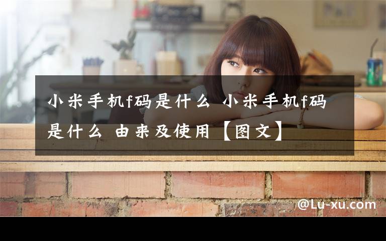 小米手机f码是什么 小米手机f码是什么 由来及使用【图文】文章配图
