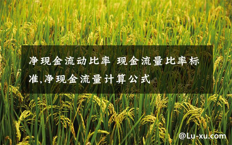 净现金流动比率 现金流量比率标准,净现金流量计算公式文章配图