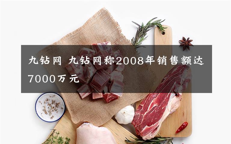 九钻网 九钻网称2008年销售额达7000万元