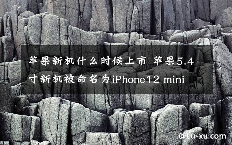 苹果新机什么时候上市 苹果5.4寸新机被命名为iPhone12 mini iphone12上市时间配置价格    消息文章配图