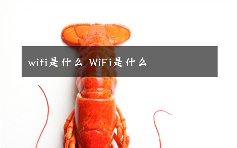 wifi是什么 WiFi是什么文章配图