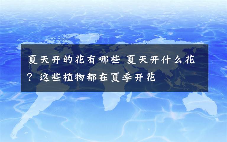 夏天开的花有哪些 夏天开什么花？这些植物都在夏季开花文章配图