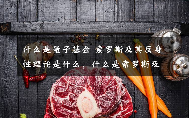 什么是量子基金 索罗斯及其反身性理论是什么，什么是索罗斯及其反身性理论文章配图