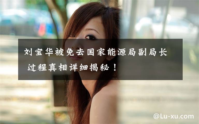 刘宝华被免去国家能源局副局长 过程真相详细揭秘！文章配图