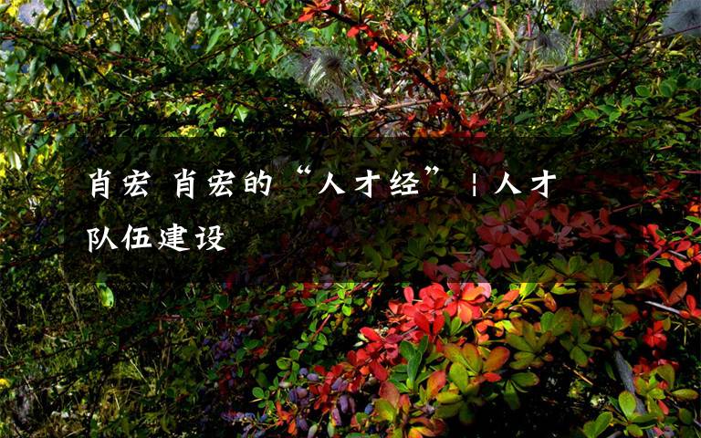 肖宏 肖宏的“人才经” | 人才队伍建设文章配图