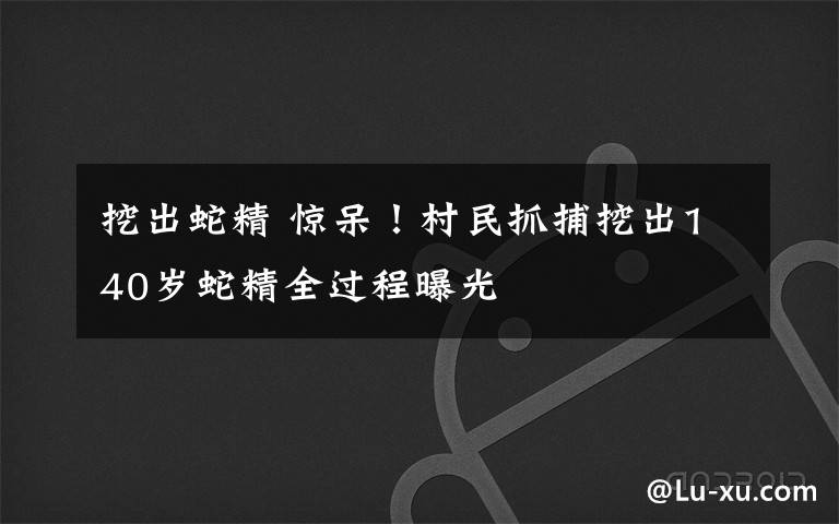 挖出蛇精 惊呆！村民抓捕挖出140岁蛇精全过程曝光