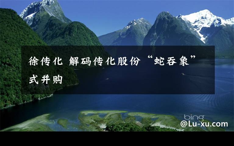 徐传化 解码传化股份“蛇吞象”式并购文章配图