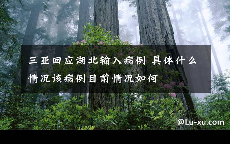 三亚回应湖北输入病例 具体什么情况该病例目前情况如何文章配图