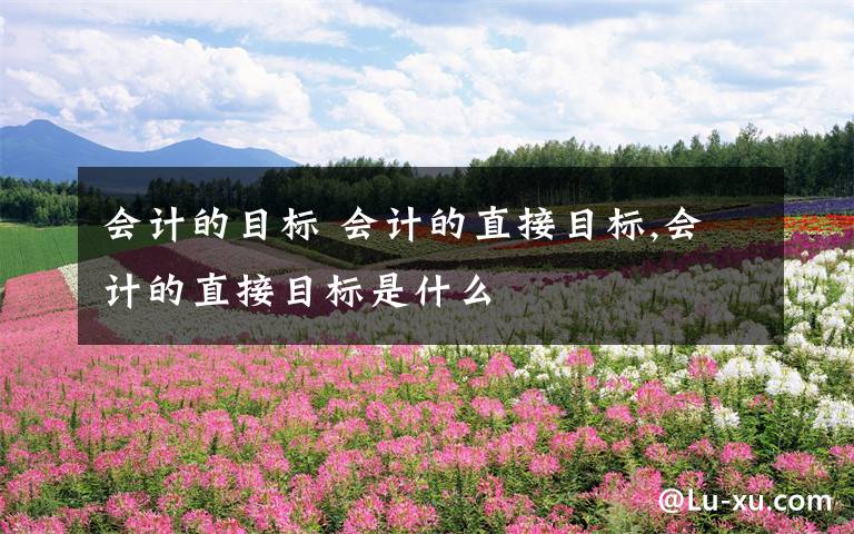 会计的目标 会计的直接目标,会计的直接目标是什么文章配图