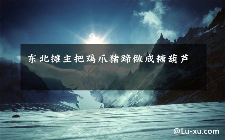 东北摊主把鸡爪猪蹄做成糖葫芦文章配图