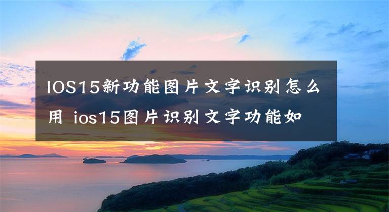 IOS15新功能图片文字识别怎么用 ios15图片识别文字功能如何使用文章配图