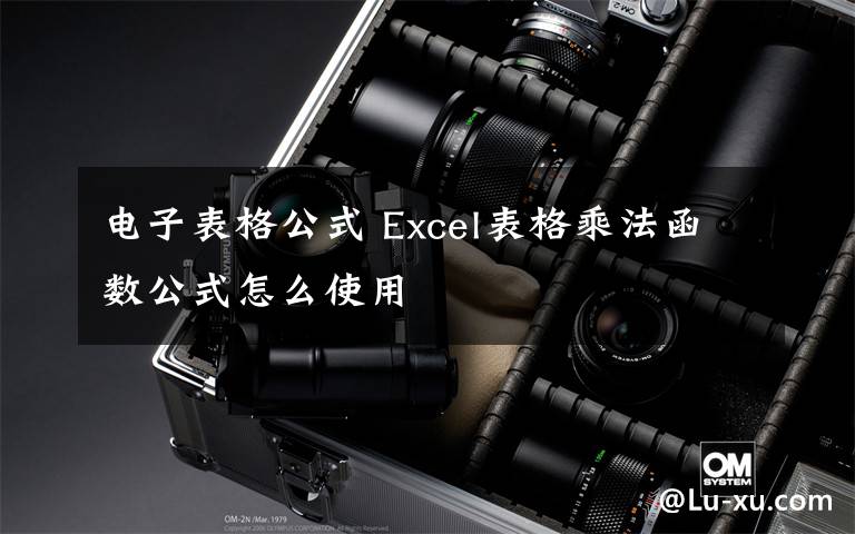 电子表格公式 Excel表格乘法函数公式怎么使用文章配图