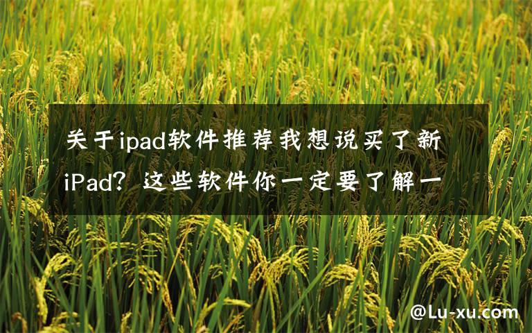 关于ipad软件推荐我想说买了新iPad？这些软件你一定要了解一下！——iPad常用软件分享文章配图