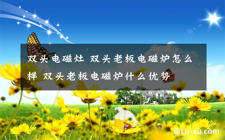 双头电磁灶 双头老板电磁炉怎么样 双头老板电磁炉什么优势文章配图