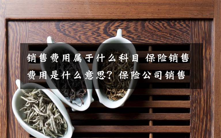 销售费用属于什么科目 保险销售费用是什么意思？保险公司销售费用管理文章配图