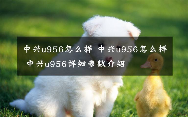 中兴u956怎么样 中兴u956怎么样 中兴u956详细参数介绍