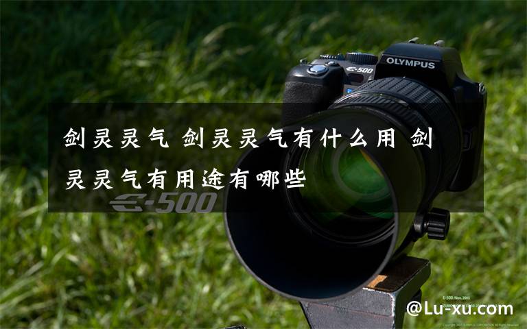剑灵灵气 剑灵灵气有什么用 剑灵灵气有用途有哪些文章配图
