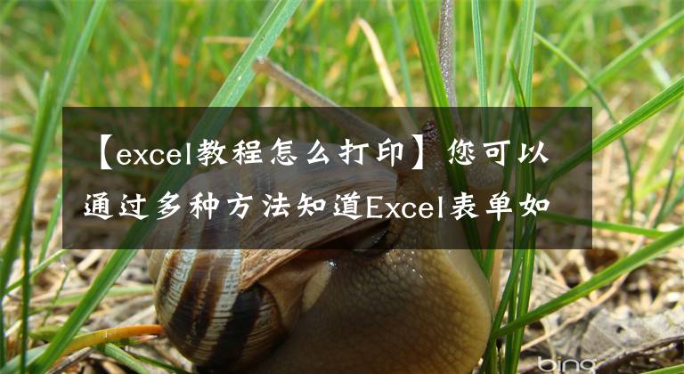 【excel教程怎么打印】您可以通过多种方法知道Excel表单如何进入打印预览和设置。文章配图
