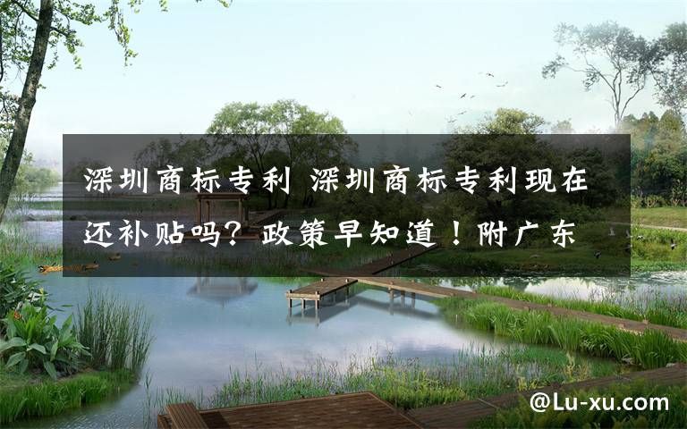 深圳商标专利 深圳商标专利现在还补贴吗？政策早知道！附广东其他区域补贴政策