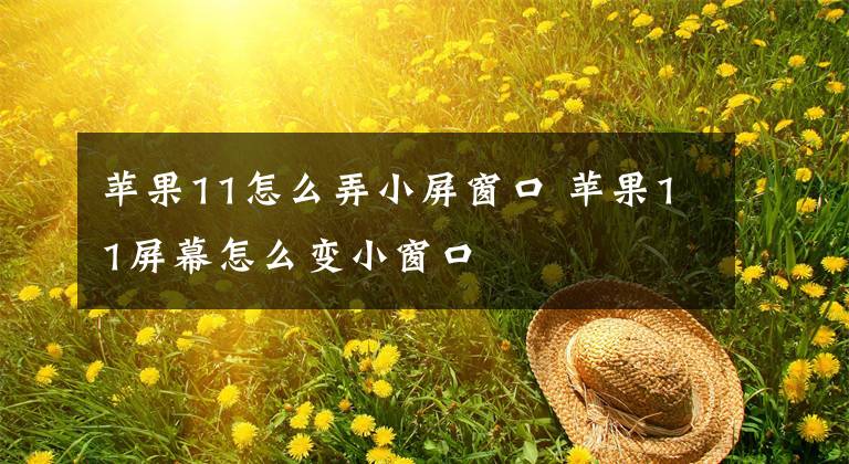 苹果11怎么弄小屏窗口 苹果11屏幕怎么变小窗口文章配图