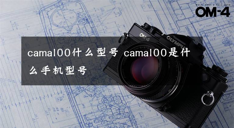 camal00什么型号 camal00是什么手机型号文章配图