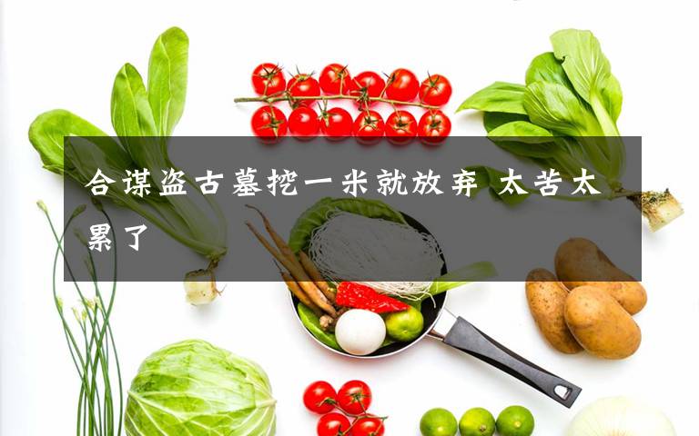 合谋盗古墓挖一米就放弃 太苦太累了文章配图