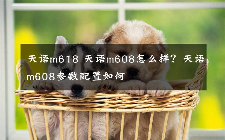 天语m618 天语m608怎么样？天语m608参数配置如何文章配图