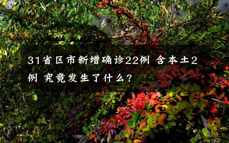 31省区市新增确诊22例 含本土2例 究竟发生了什么?文章配图