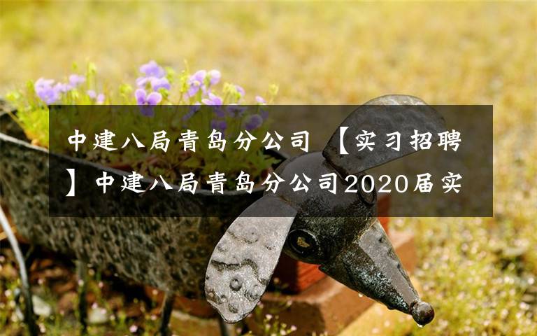 中建八局青岛分公司 【实习招聘】中建八局青岛分公司2020届实习生校园招聘简章文章配图
