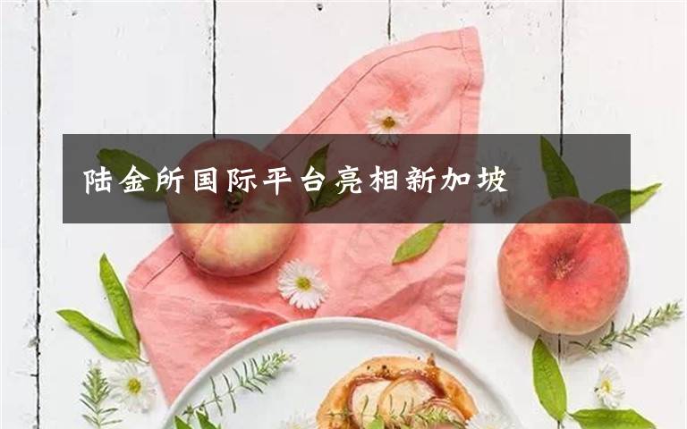 陆金所国际平台亮相新加坡文章配图