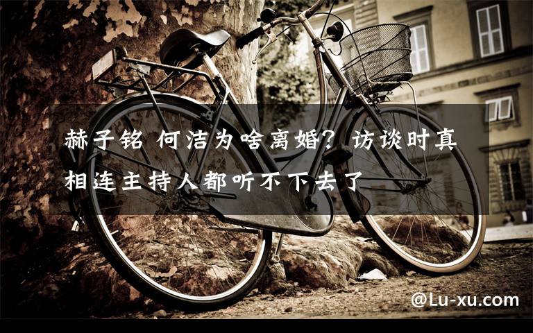 赫子铭 何洁为啥离婚？访谈时真相连主持人都听不下去了文章配图