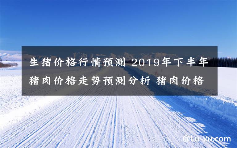 生猪价格行情预测 2019年下半年猪肉价格走势预测分析 猪肉价格上涨原因是啥文章配图