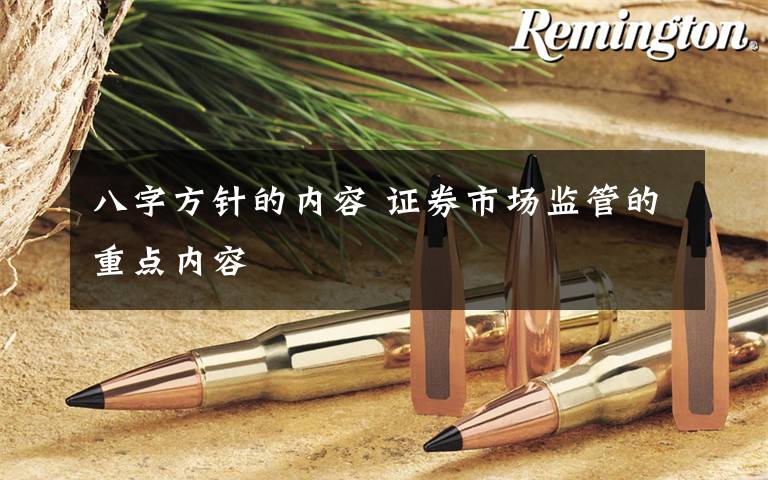 八字方针的内容 证券市场监管的重点内容文章配图