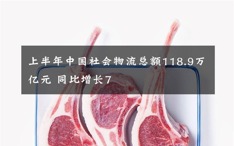 上半年中国社会物流总额118.9万亿元 同比增长7文章配图