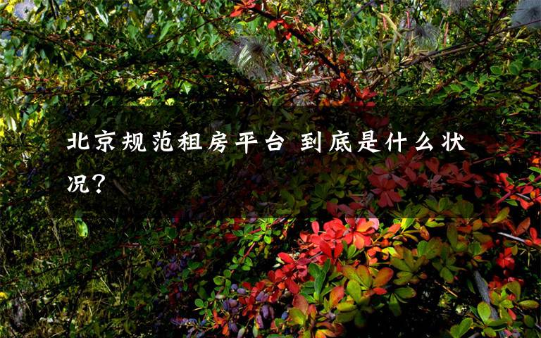 北京规范租房平台 到底是什么状况？文章配图