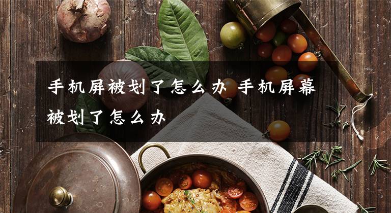 手机屏被划了怎么办 手机屏幕被划了怎么办文章配图