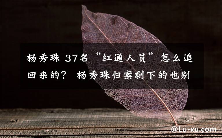 杨秀珠 37名“红通人员”怎么追回来的？ 杨秀珠归案剩下的也别想逃文章配图