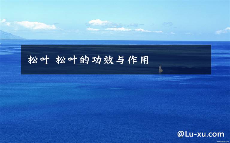 松叶 松叶的功效与作用文章配图