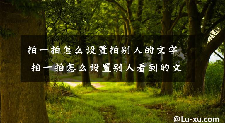 拍一拍怎么设置拍别人的文字 拍一拍怎么设置别人看到的文字文章配图