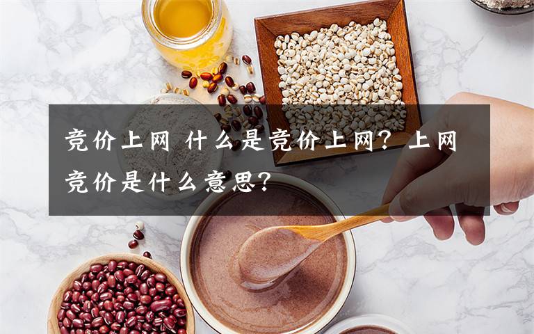 竞价上网 什么是竞价上网？上网竞价是什么意思？文章配图