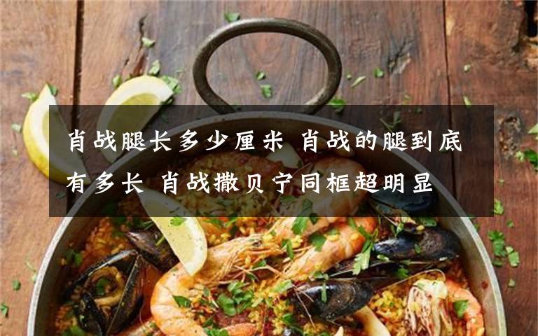 肖战腿长多少厘米 肖战的腿到底有多长 肖战撒贝宁同框超明显文章配图