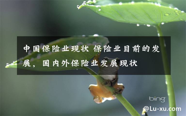 中国保险业现状 保险业目前的发展，国内外保险业发展现状文章配图