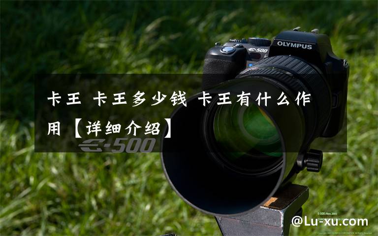 卡王 卡王多少钱 卡王有什么作用【详细介绍】文章配图