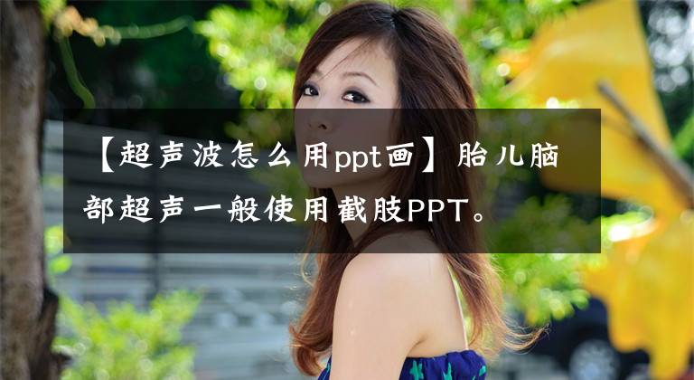 【超声波怎么用ppt画】胎儿脑部超声一般使用截肢PPT。文章配图