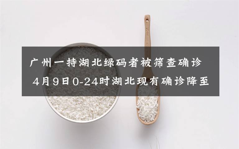 广州一持湖北绿码者被筛查确诊 4月9日0-24时湖北现有确诊降至400例以下