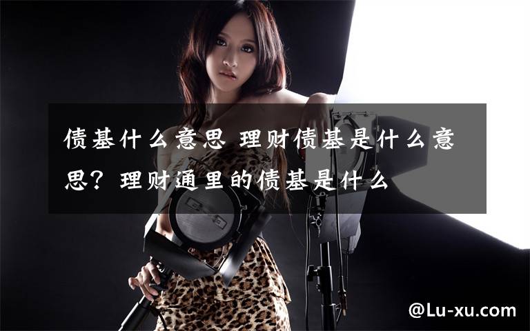 债基什么意思 理财债基是什么意思？理财通里的债基是什么文章配图