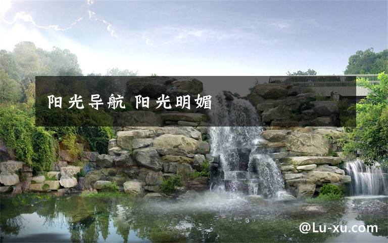 阳光导航 阳光明媚文章配图